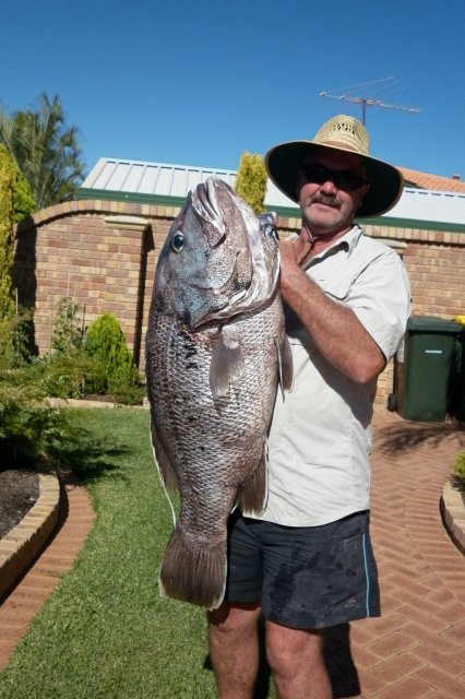 Big bad ass dhuie Big bad ass dhuie